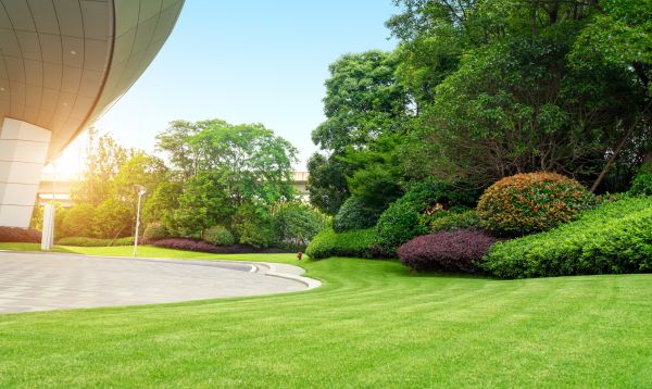 Cost of Commercial Shrub Trimming in Loveland
